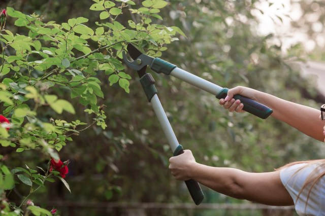 Explore the Essential Trimmer Attachments for Every Yard Work Project